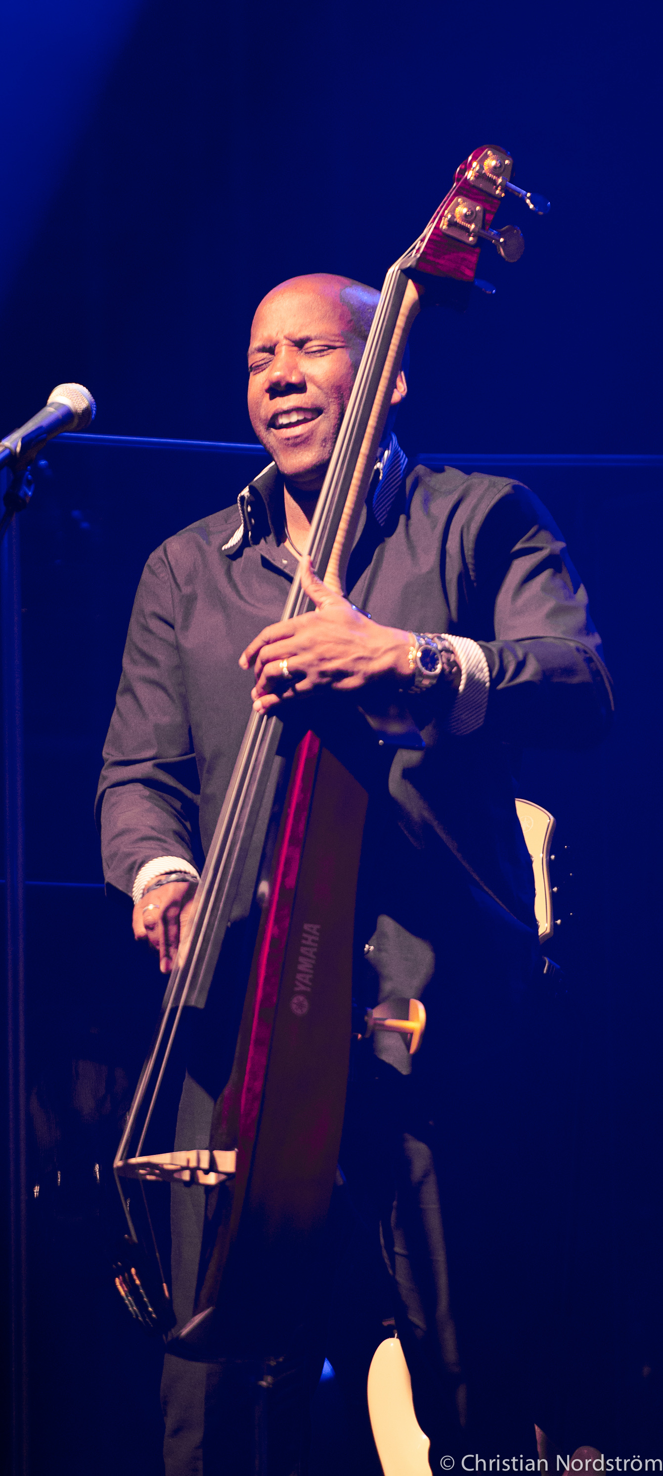 FourplayBlueTone2012 28