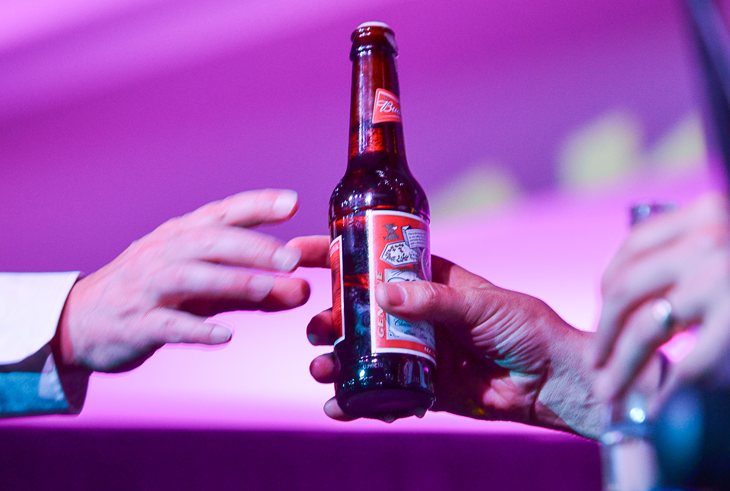 WarrenHillMallorca 55