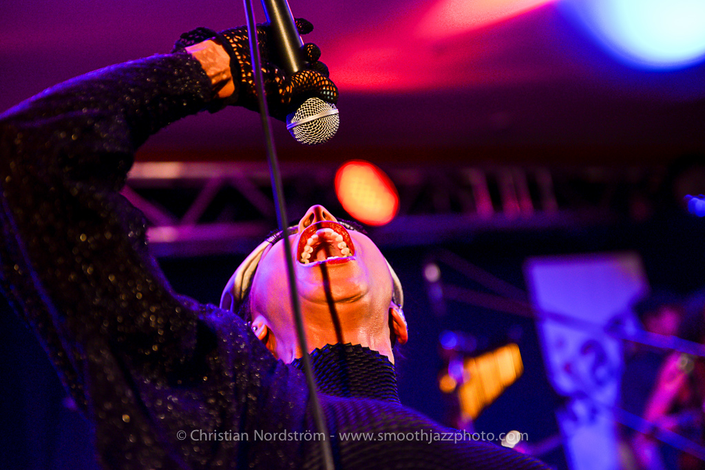 BrandNewHeaviesIngolstadt 044