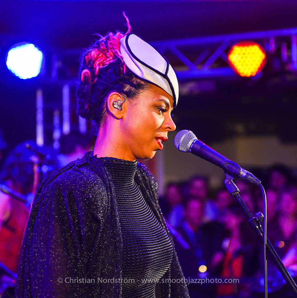 BrandNewHeaviesIngolstadt 054