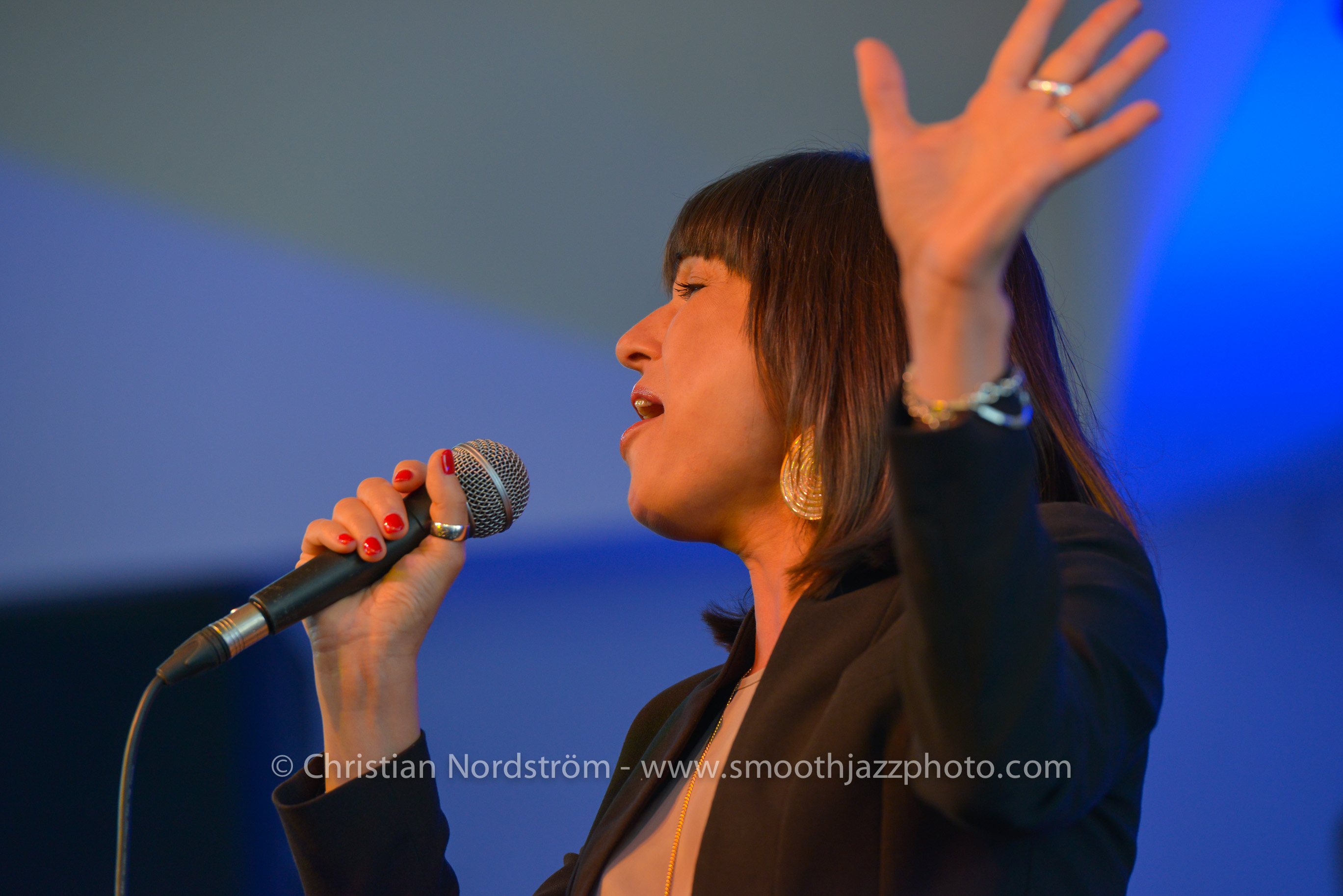 SmoothJazzMallorca2013 RoccoVentrella 24