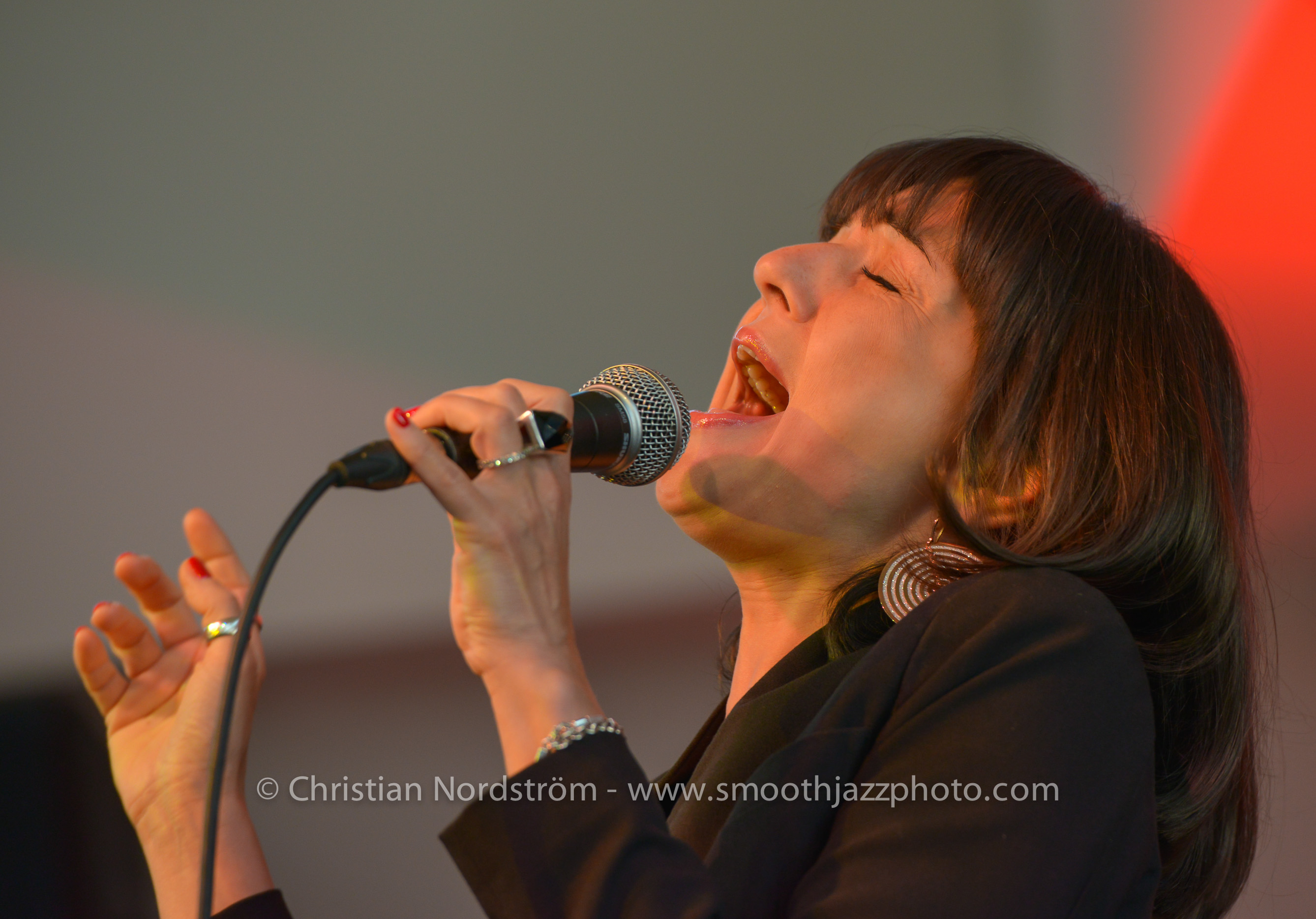 SmoothJazzMallorca2013 RoccoVentrella 25