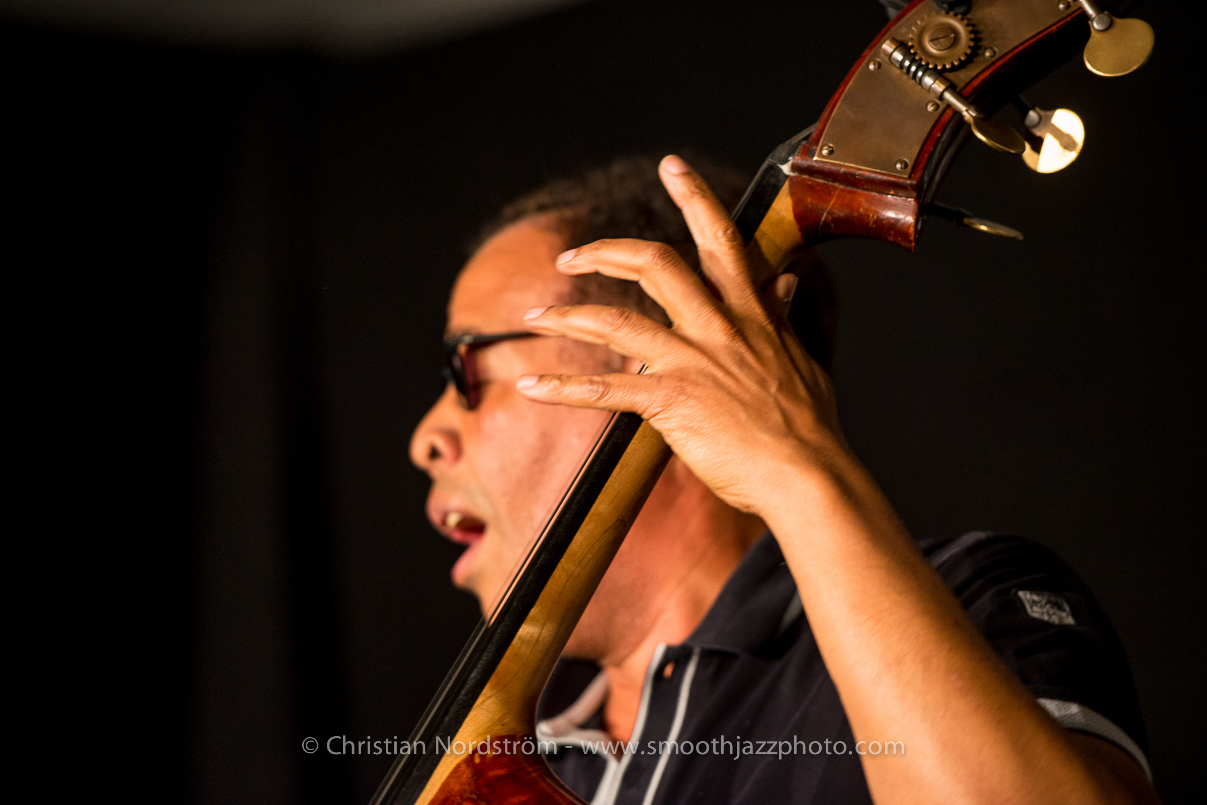 StanleyClarkeIngolstadt 027