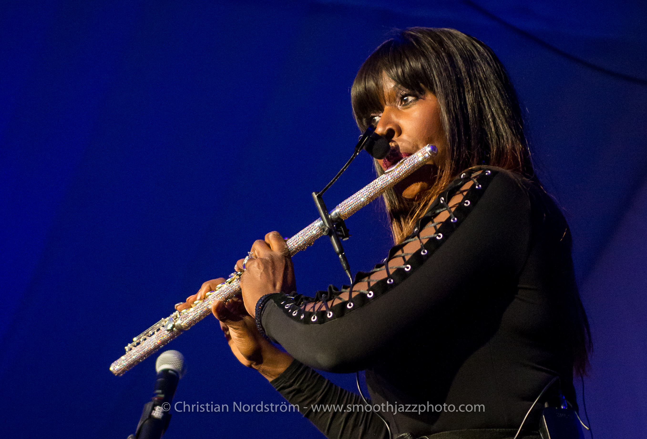 MattMarshakWillDonato SJFA2016 084