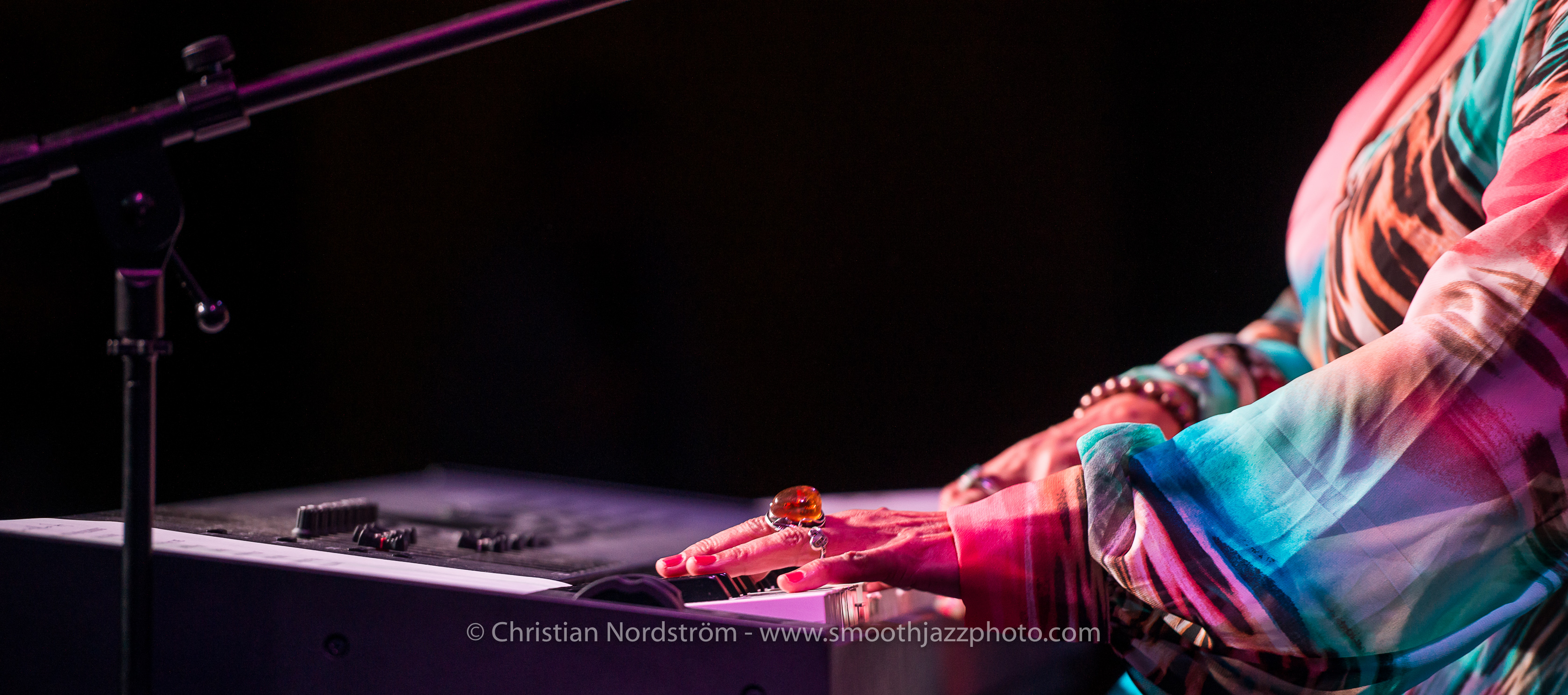 SJFM2016 GailJhonson 025