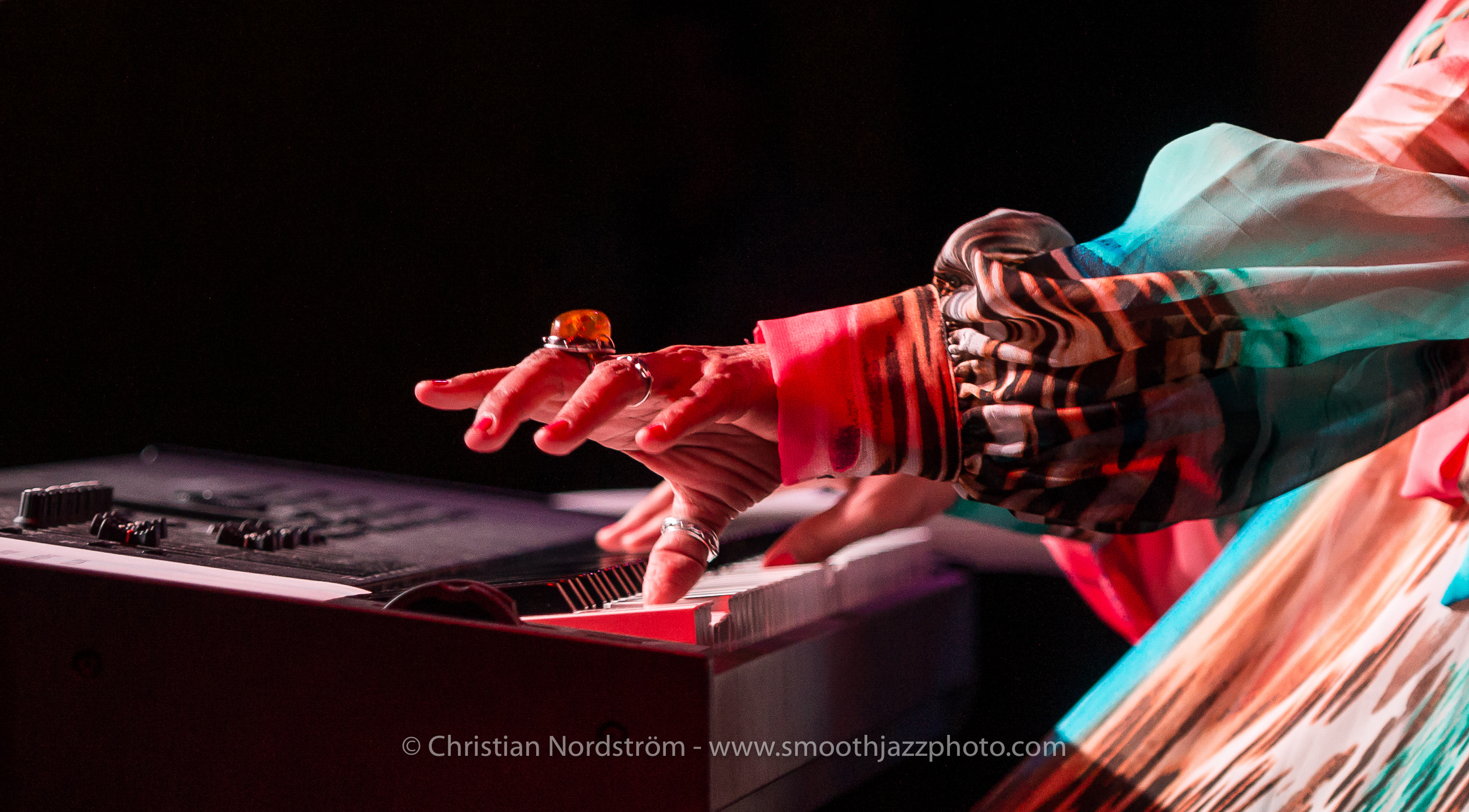 SJFM2016 GailJhonson 026