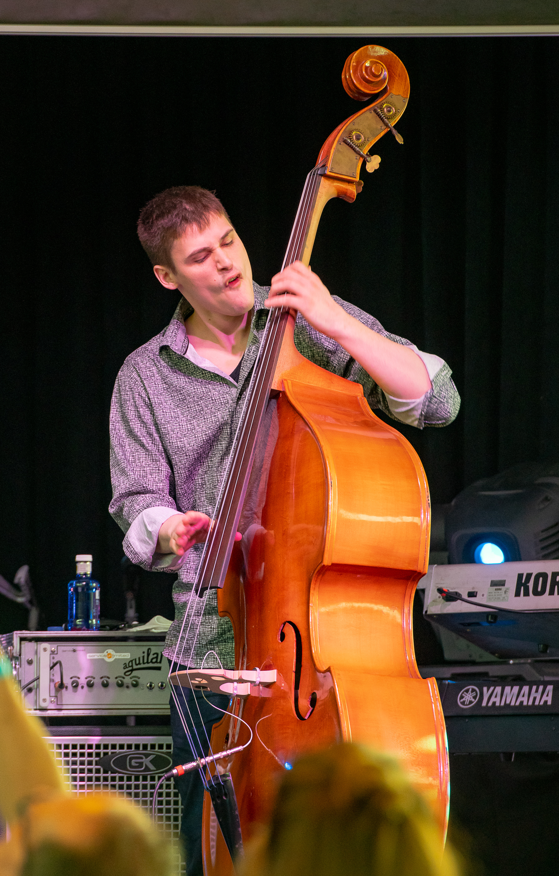 SJM2018 BobJamesTrio 004