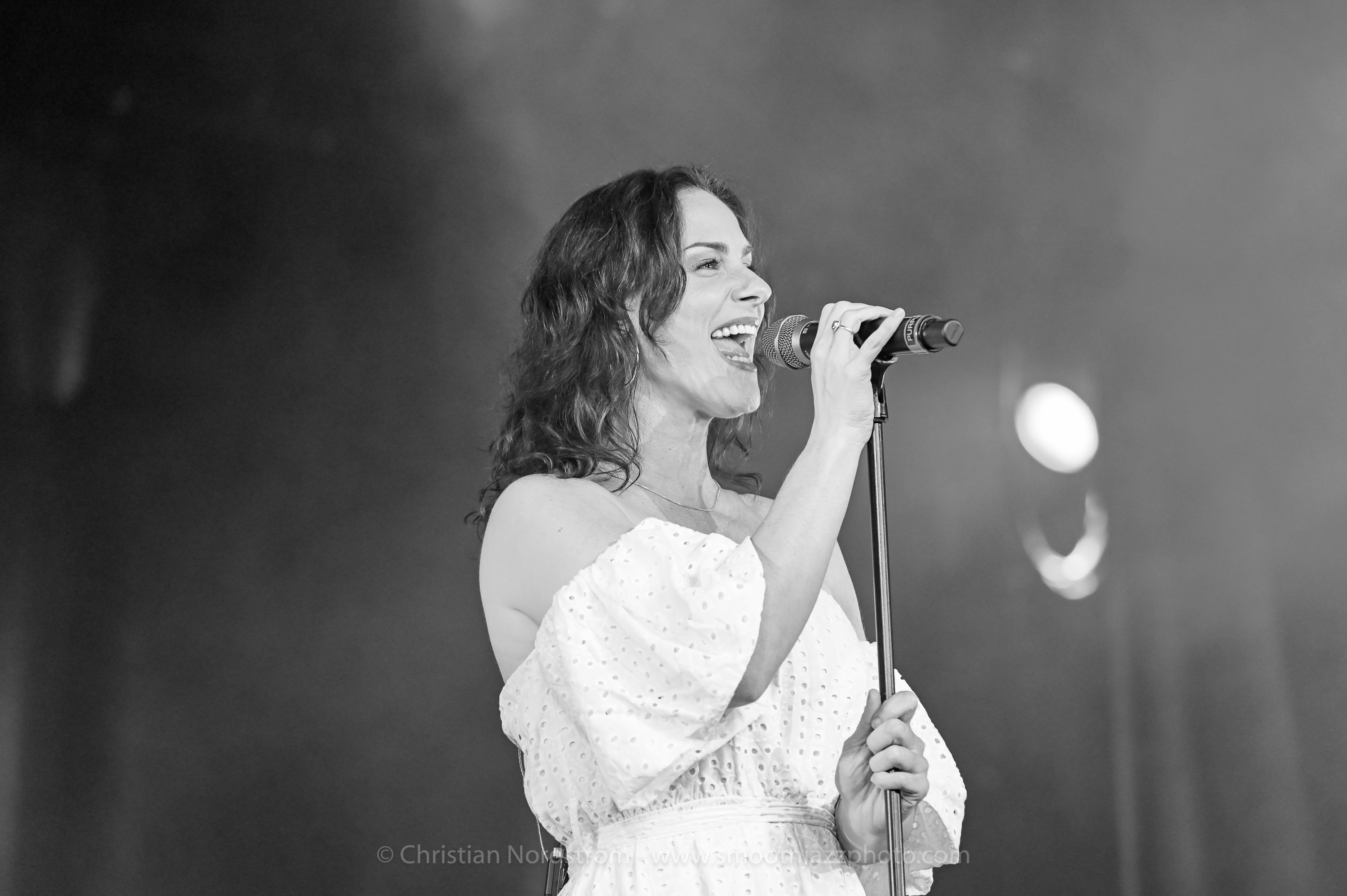 WebsterHawley DK2023 001