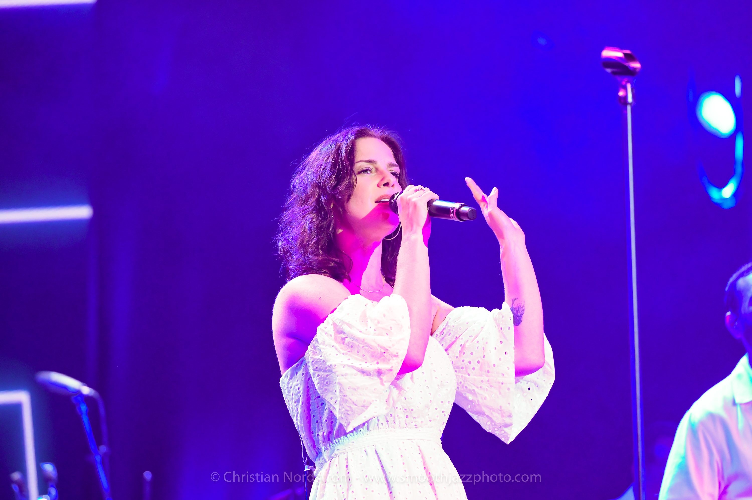 WebsterHawley DK2023 002