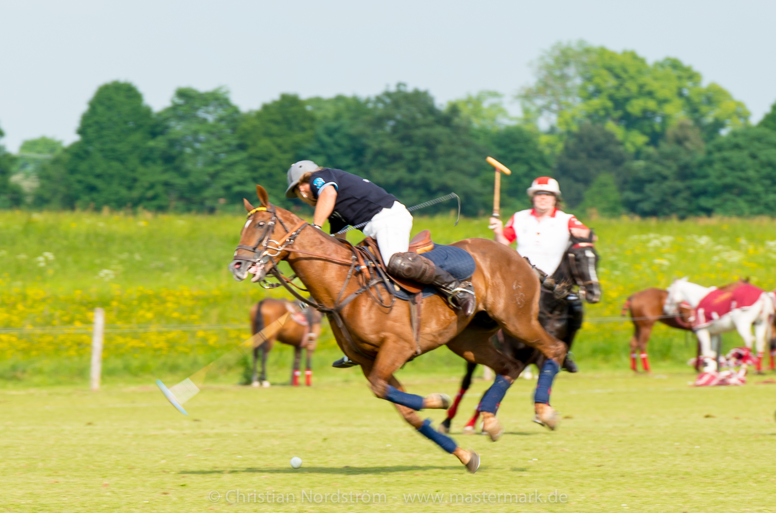 BuchererPoloCup2014 030