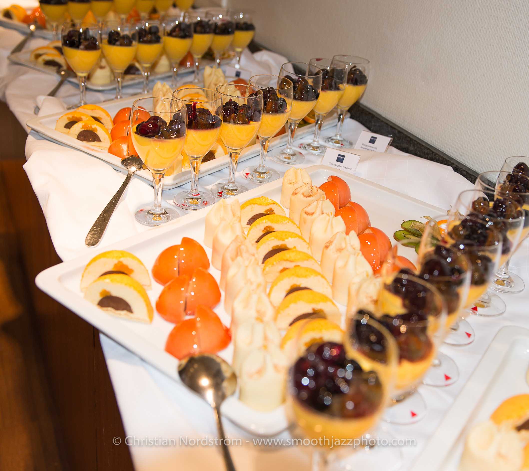 SJFA 2016 Dinner 009