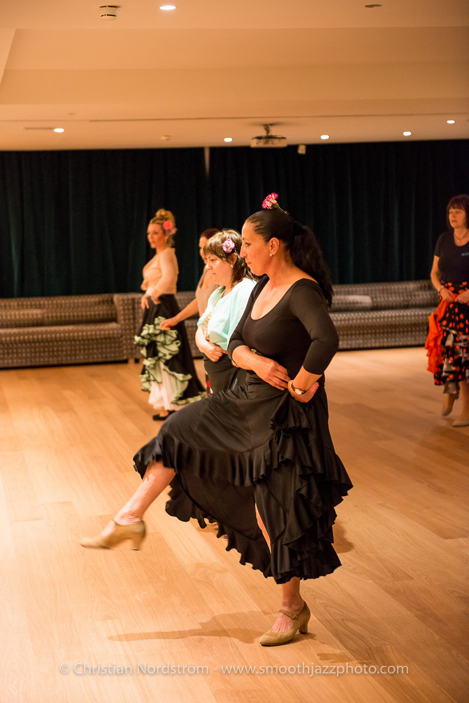 SJM2015 Flamenco 005