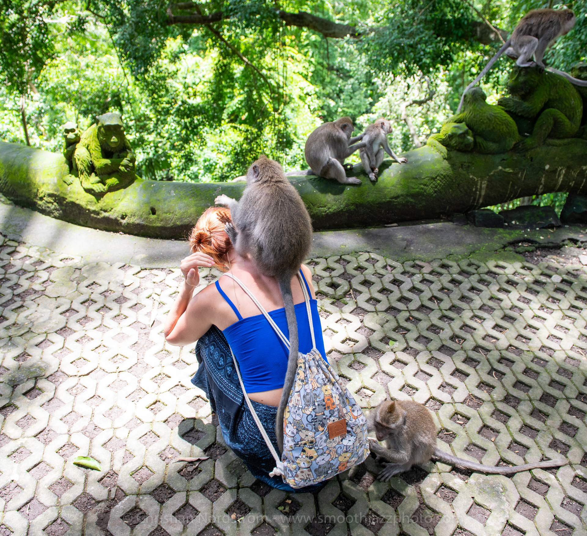 UbudMonkeyForest 006